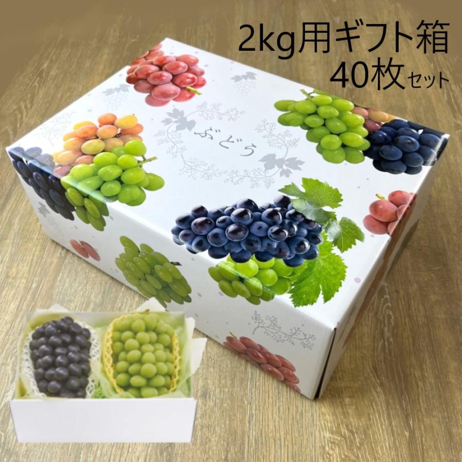 3色 ブドウ C式 2kg ギフト箱 40枚 セット AA6751 ギフト箱のみ ぶどう