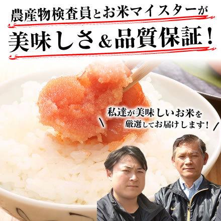米 白米 10kg 令和7年 新米 千葉県産 ふさこがね お米 精米 送料無料