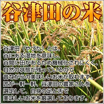 新米 米 10kg（5kg×2） 玄米 令和7年 千葉県産 ふさおとめ お米 白米 精米 無料 送料無料 白米 8.8kg（5kg+3.8kg） ※地域によりまして別途送料が発生 | ふさおとめ | 04