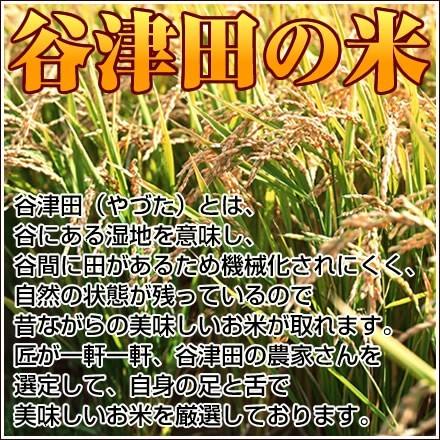 米 玄米 10kg 令和5年 千葉県産 ふさこがね お米 こめ 千葉産 白米 精米 無料 送料無料  ※地域によりまして別途送料が発生。｜oyamadashoten｜05