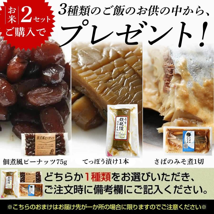 米 玄米 10kg 令和5年 千葉県産 ふさこがね お米 こめ 千葉産 白米 精米 無料 送料無料  ※地域によりまして別途送料が発生。｜oyamadashoten｜06