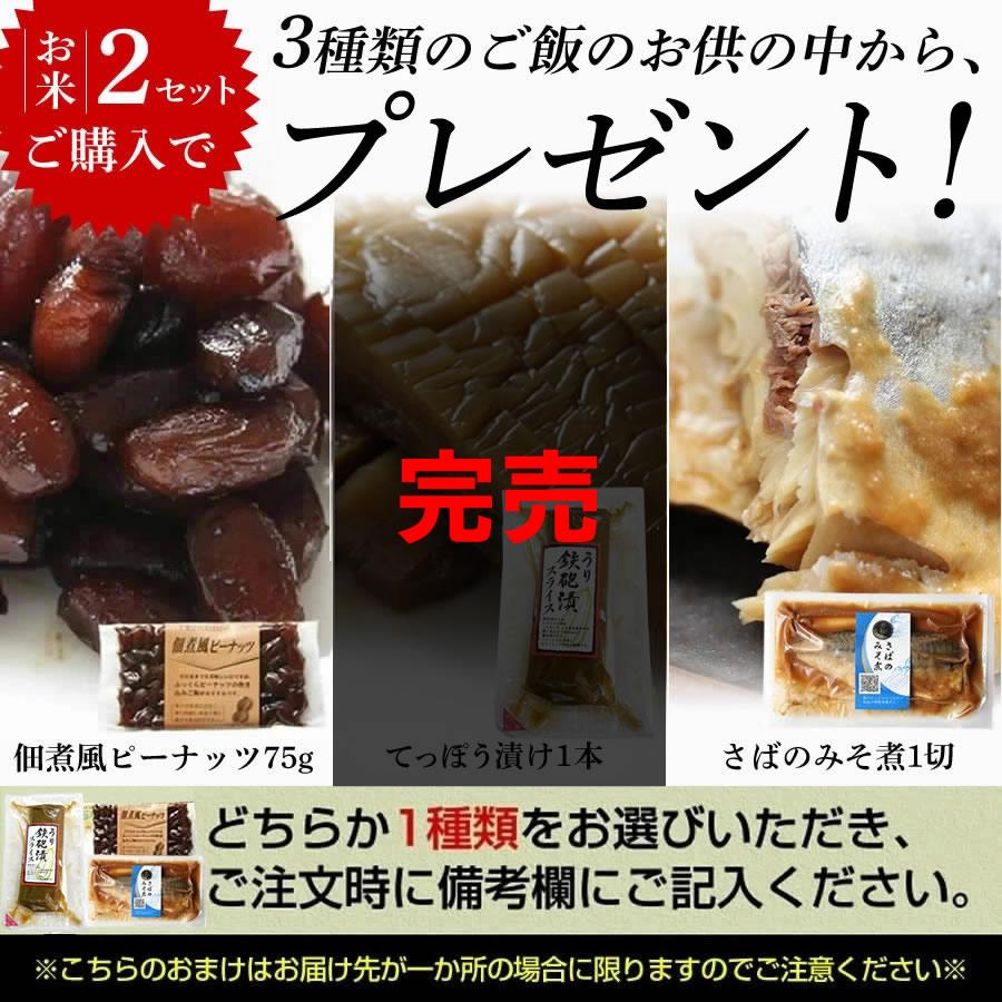 ふさおとめ 米 玄米 10kg(5kg×2) 令和6年 新米 千葉県産 ふさおとめ 米 玄米 10kg(5kg×2) 令和6年 新米 千葉県産