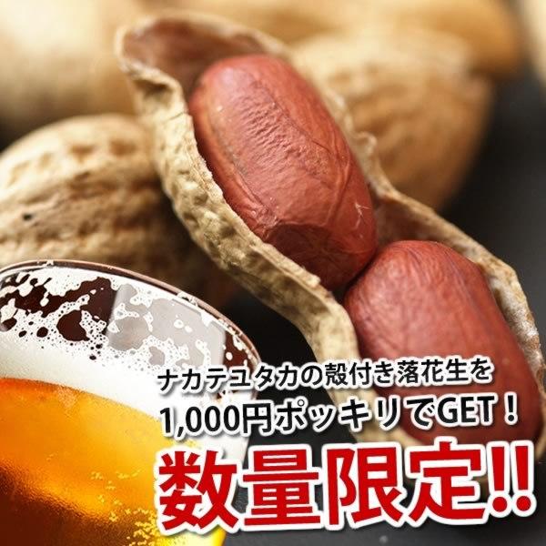 落花生 ナカテユタカ 千葉県産 殻付き0g 100g 2 お試し品 送料無料 ピーナッツ おつまみ All 1000 ゆうパケット Nyk0 小山田商店 通販 Yahoo ショッピング