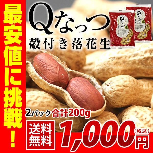 2025年 新豆 送料無料 千葉県産 殻付き 落花生 200g（100g×2） 新品種 Qなっつ ピーナッツ おつまみ ALL￥1000 ゆうパケット お試し商品 サンプル expoint02（Yahoo!・小山田商店）