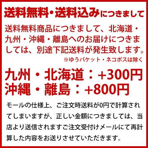 ギフト 落花生  送料込み 【新豆】 2025年産 千葉県産 Qなっつ 素煎り落花生 落花生 600g（100g×6）ピーナッツ Qナッツ らっかせい おつまみ 送料無料 |  | 01