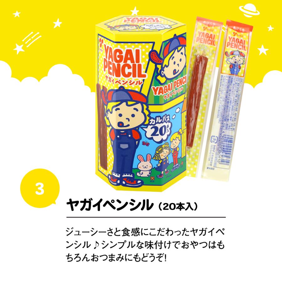 【公式】 おやつカルパス もっとお楽しみセット10種 送料無料 ヤガイ｜oyatsucalpas-yagai｜05