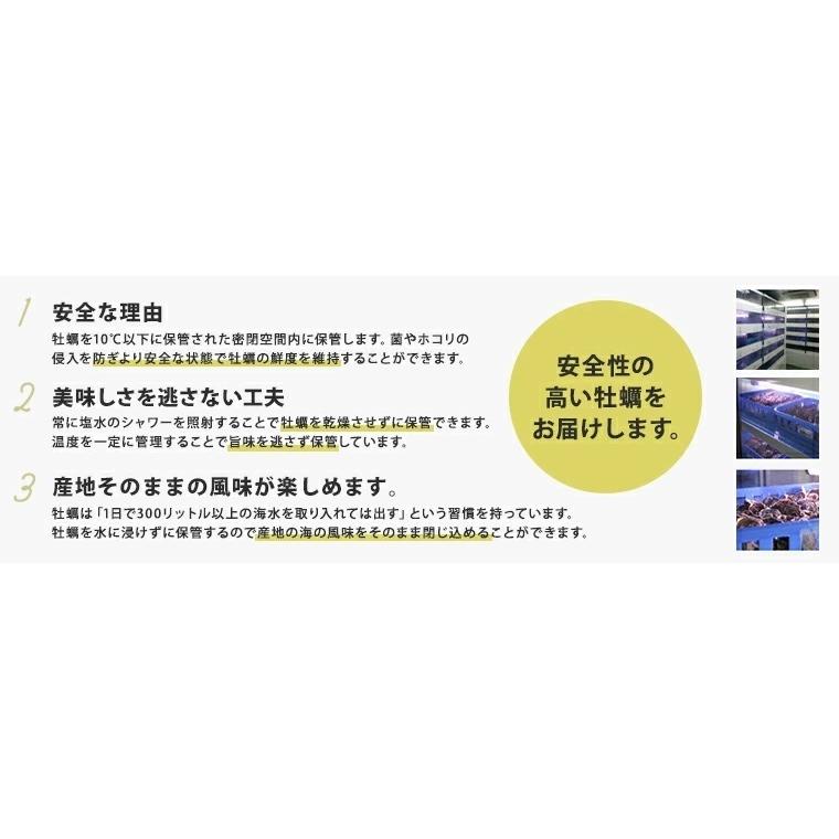 今、超特大岩牡蠣入り「オススメ5種のブランド生牡蠣を4粒づつ計20粒食べ比べ 」「牡蠣オープンナイフ軍手付き」サービス中｜oysters｜02