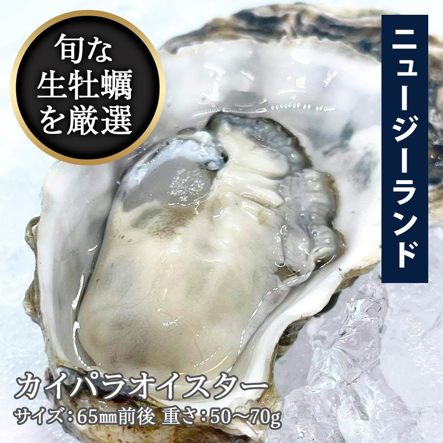 かき カキ 牡蠣 海外シングルシード カイパラオイスター ニュージーランド ノースアイランド 65mm前後 50〜70g kaipara