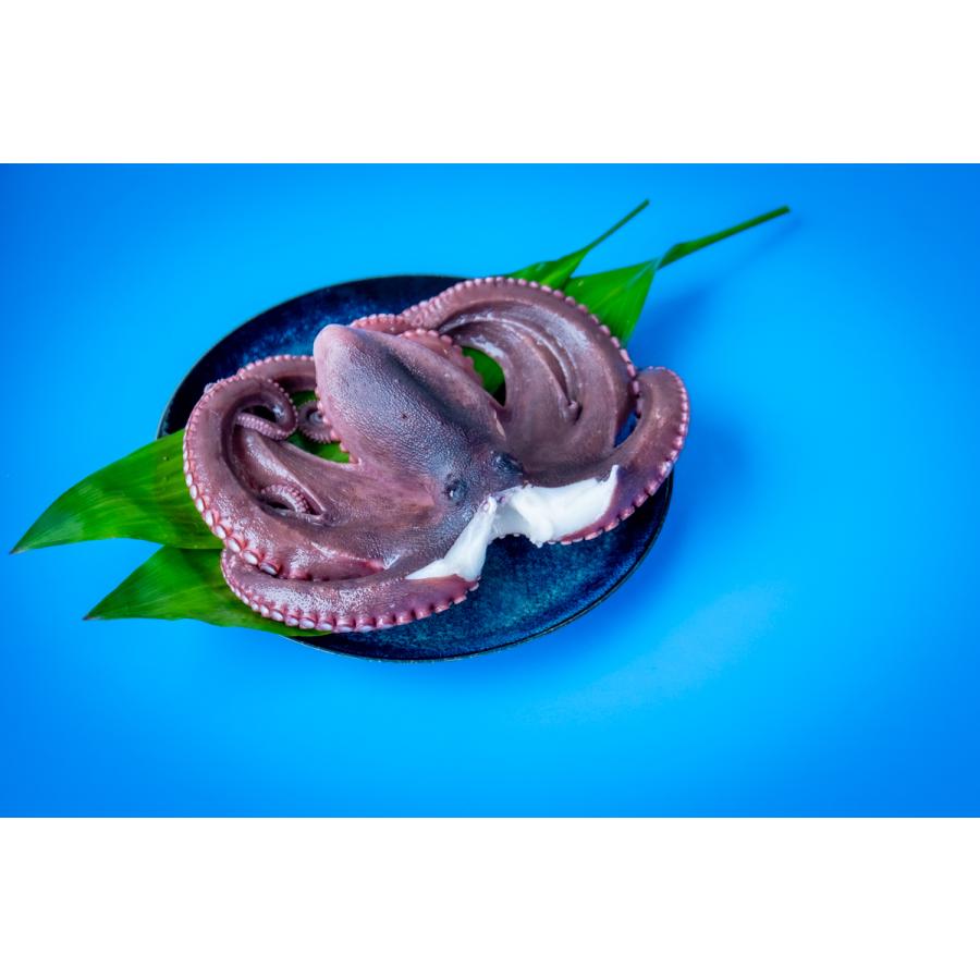 兵庫県赤穂産 ボイルたこ 頭付き Lサイズ 800g 1k 高級 真たこ マダコ 真蛸 新鮮 刺身 使いやすく ゆでタコ 湯だこ たこ 酢タコ 国産 産地直送 Tako1k Oyster Sisters 通販 Yahoo ショッピング