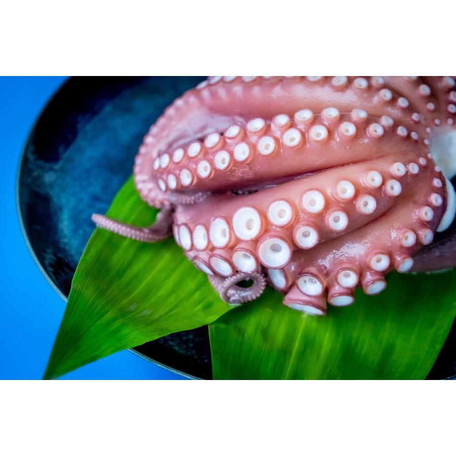 兵庫県赤穂産 ボイルたこ 頭付き Lサイズ 800g 1k 高級 真たこ マダコ 真蛸 新鮮 刺身 使いやすく ゆでタコ 湯だこ たこ 酢タコ 国産 産地直送 Tako1k Oyster Sisters 通販 Yahoo ショッピング