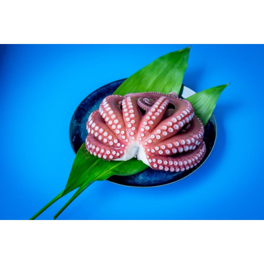 発送は土曜日のみ次回9月27日】兵庫県産ボイルたこ (頭付き 1匹