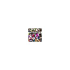 菊 ダリア マム アレンジ 造花 1個 花瓶付き 正月 造花 仏花 仏壇用