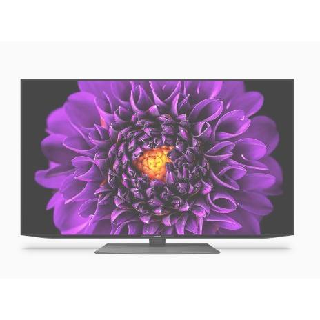 4T-C55DS1 シャープ SHARP アクオス AQUOS OLED 55V型 有機EL  