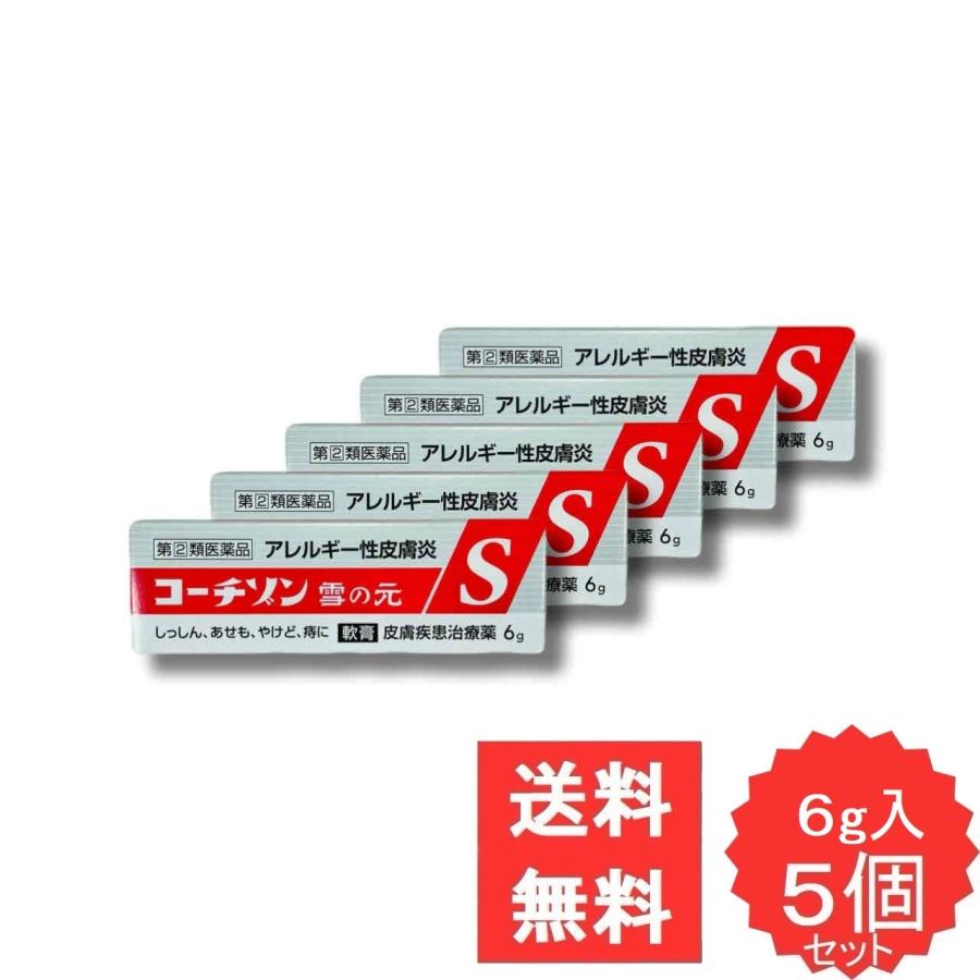 コーチゾン雪の元S 6g 【指定第2類医薬品】 5個セット しっしん かゆみ