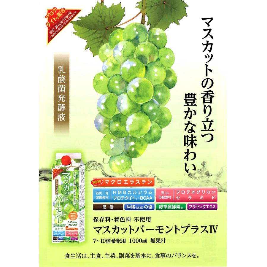 マスカットバーモントプラスIV 3本セット 送料無料の画像