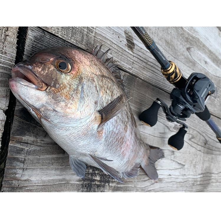 DAIWA（ダイワ） クラブブルーキャビンメタルチューン さぐりづり S