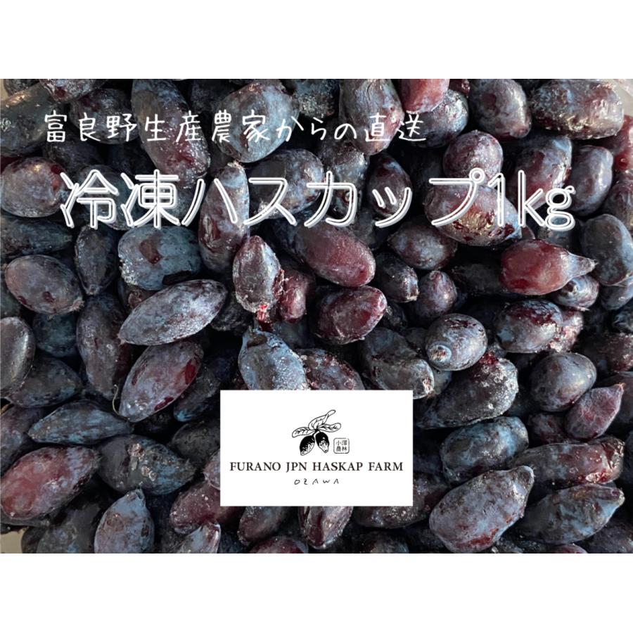 冷凍ハスカップ1kg 北海道富良野から直送 採れたて急速冷凍