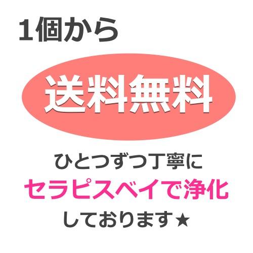 オーラソーマ ボトル 48番 50ml 変化の翼(バイオレット/クリア) オーラソーマ|ozoneassocia|02