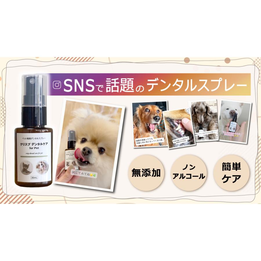 犬 猫 耳洗浄液 歯磨き 肉球ケア 日本製 天然成分100% ノンアルコール