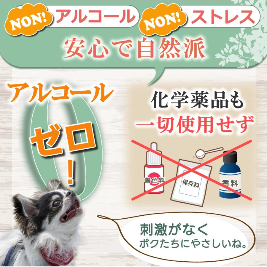 耳洗浄液 犬 猫 ペット (クリスプイヤーウォッシュ) 60ml イヤー