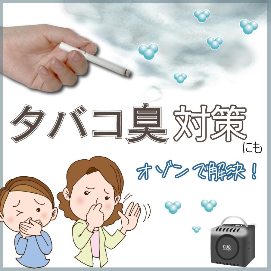 空気清浄機 小型 フィルター交換なし 日本製(充電式オゾン除菌 空気清浄機 小型 フィルター交換なし 日本製(充電式オゾン除菌