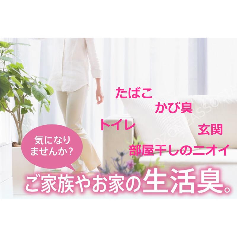 空気清浄機 オゾン除菌脱臭器 オゾン発生器 家庭用 (オゾン快適マイエアーOZ-3) 空気清浄器 ペット 消臭 カビ対策  防水 USB駆動 |  | 03