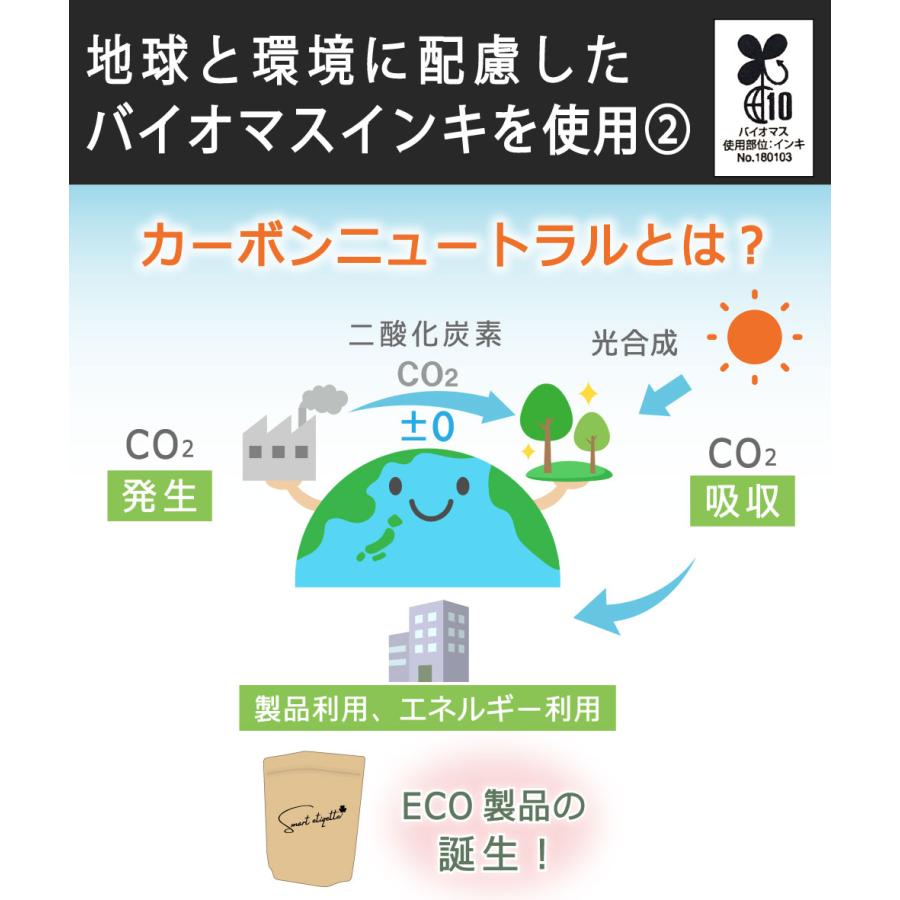 防災 非常用 下着 女性用 使い捨てペーパーショーツ サニタリーバッグ クラフトバッグ (スマートエチケット セット)  smart etiqette 袋2枚 ショーツ20枚 防臭 |  | 20