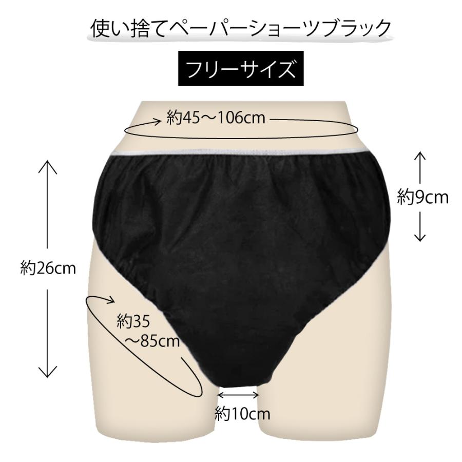 防災 非常用 女性下着 使い捨てペーパーショーツ サニタリーバッグ（スマートエチケット セット）smart etiqette 袋1枚+ショーツ10枚 クラフトバッグ 防水防臭 |  | 18
