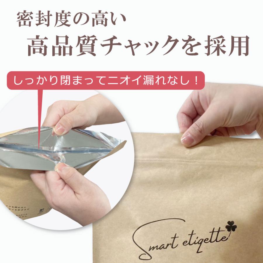 防災 非常用 女性下着 使い捨てペーパーショーツ サニタリーバッグ（スマートエチケット セット）smart etiqette 袋1枚+ショーツ10枚 クラフトバッグ 防水防臭 |  | 08