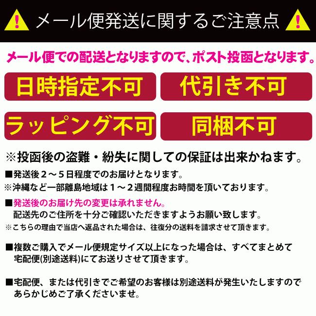 エヴァンゲリオン NERV 蓄光 ドライブレコーダー ステッカー シール