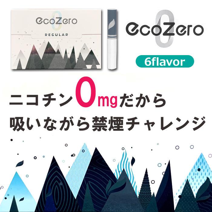 EcoZero エコゼロ ニコチン0mg 2箱セット 禁煙グッズ お試し