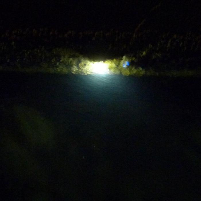 Led 水中集魚灯 白色 ホワイト 水中灯 8w 800lm 12v 24v 集魚灯 夜釣り イカ アジ タチウオ イワシ 仕掛け 夜焚き 海 レジャー アウトドア Sgl Dc W8w Pandd 通販 Yahoo ショッピング