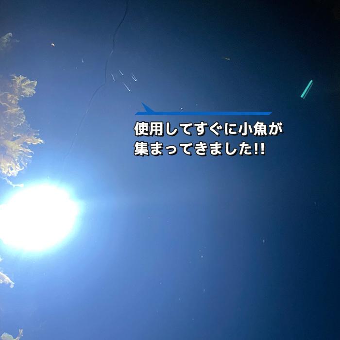 Led 水中集魚灯 白 ホワイト 60w 9600lm 水中ライト 集魚灯 イカ アジ タチウオ イワシ 仕掛け 夜焚き 海 クリア レジャー アウトドア Sgl W60w Pandd 通販 Yahoo ショッピング
