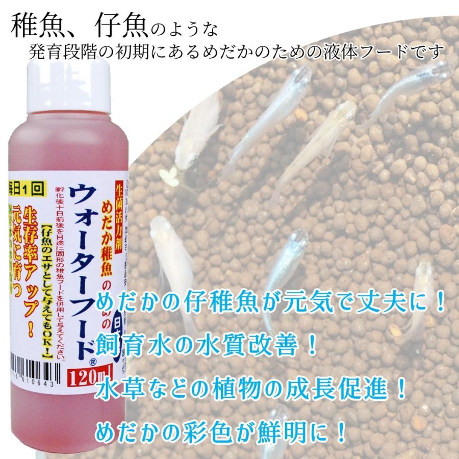 限定special Price めだか稚魚のためのウォーターフード 0ml 5本セット メダカ 赤ちゃん 稚魚 えさ 生存率アップ アクアリウム 成魚にもおすすめ Aynaelda Com