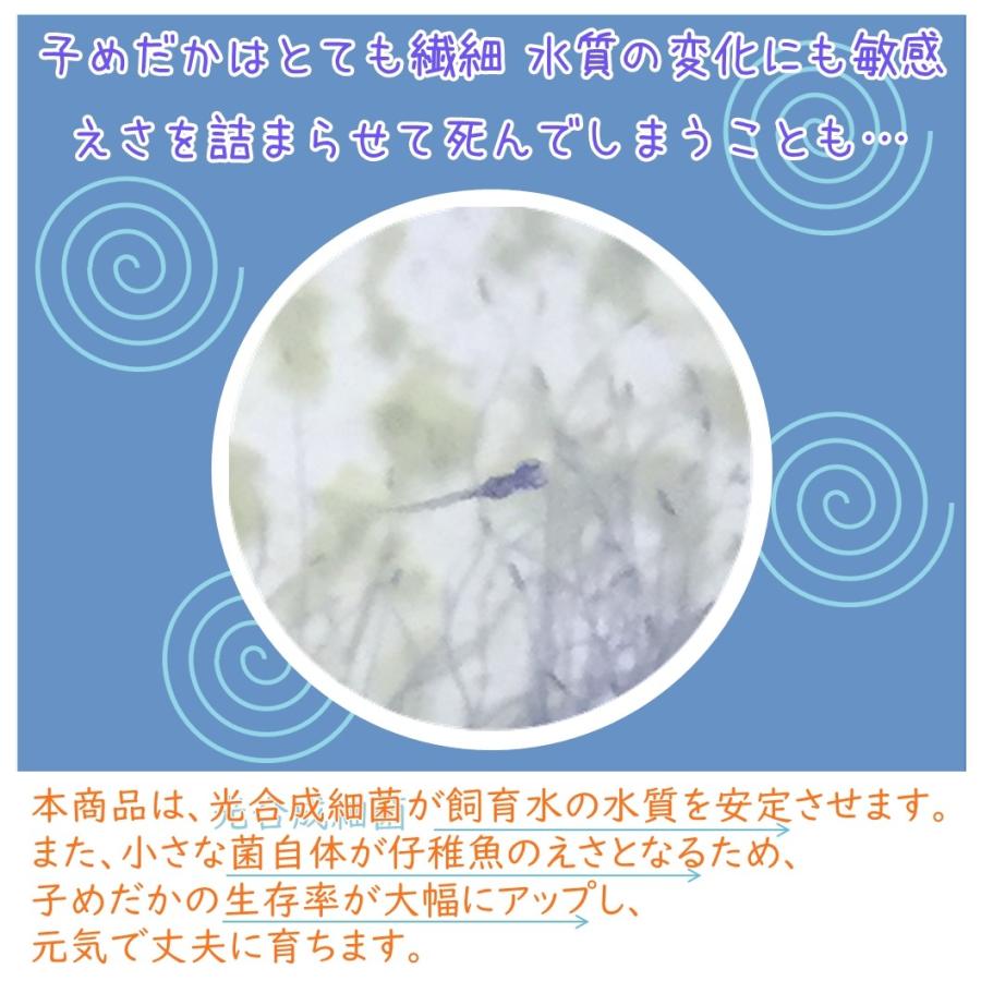 めだか稚魚のためのウォーターフード 0ml 5本セット メダカ 赤ちゃん 稚魚 えさ 生存率アップ アクアリウム 成魚にもおすすめ x5 P F ペット アンド フィッシュ 通販 Yahoo ショッピング