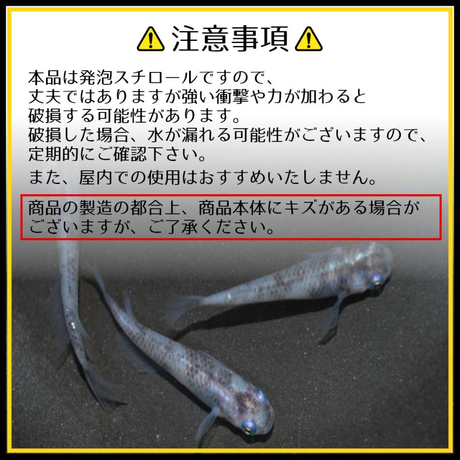 めだか飼育用黒発泡スチロール フタ付き × 4個セット｜p-and-f｜04