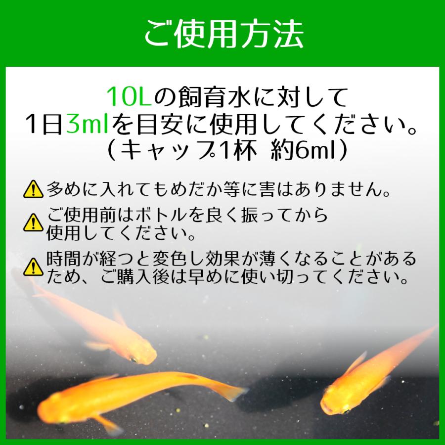 めだか稚魚のためのウォーターフード 120ml 日本製｜p-and-f｜06