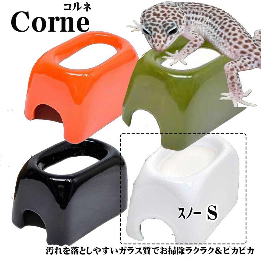 ゼンスイCorneコロネウェットシェルターコルネSスノー 爬虫類