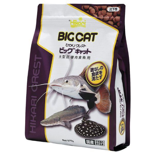 キョーリンひかりクレストビッグキャット570g【レターパックプラスOK 