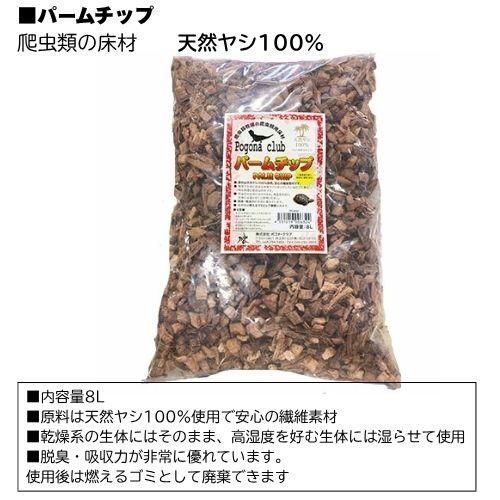 7月22日入荷【フトアゴヒゲトカゲリクガメ 飼育セット竹】PRO初心者
