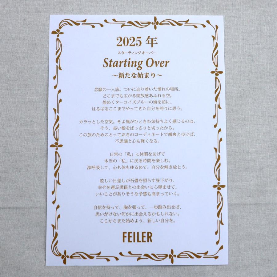 feiler フェイラー ハンカチ ギフト アニュアルバージョン 2025 feiler フェイラー ハンカチ ギフト アニュアルバージョン 2025