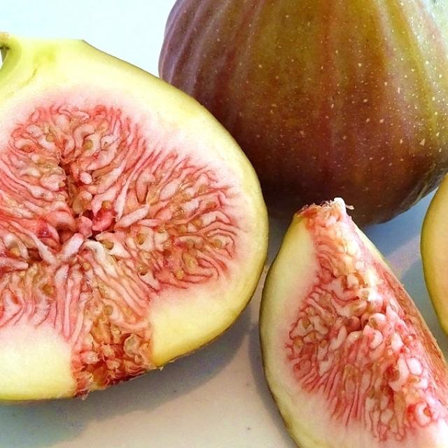 いちじくジャム イチジクジャム 大分のお土産 豊後高田 ギフト お土産 おみやげ 特産品 国産 手づくりジャム コンフィチュール 自家製 F001 Pastel Comfit ヤフー店 通販 Yahoo ショッピング