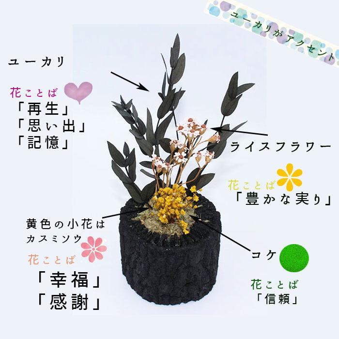 運気アップ 炭 ドライフラワー プリザーブド 和風 洋風 くぬぎ炭 水いらず 贈り物 お正月 幅約6cm 消臭 増田屋 インテリア 和室 玄関 有名な 敬老の日