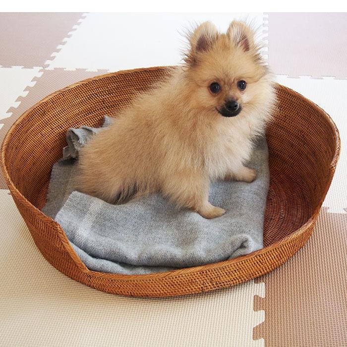 アジアン雑貨 バリ雑貨 犬猫用ベッド ペット用 収納 大きなトレイ かご トレイ かご アタ製品 小物入れ バリ インテリア エスニック バリ島 夏 Ata Pet2 プラスコンフォート 通販 Yahoo ショッピング