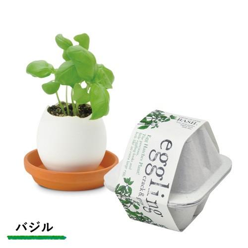 栽培キット 発芽保障 Eggling Eco Friendly ミント パセリ バジル サボテン カクタス ストロベリー ラベンダー 香草 栽培セット 聖新陶芸 Eg48 プラスコンフォート 通販 Yahoo ショッピング