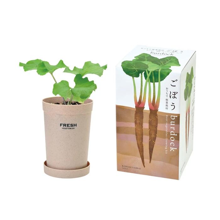 おうちで根菜栽培セット ごぼう 栽培セット ハーブ 野菜 発芽保障 家庭菜園 栽培キット 聖新陶芸 秋 Gd 1 プラスコンフォート 通販 Yahoo ショッピング