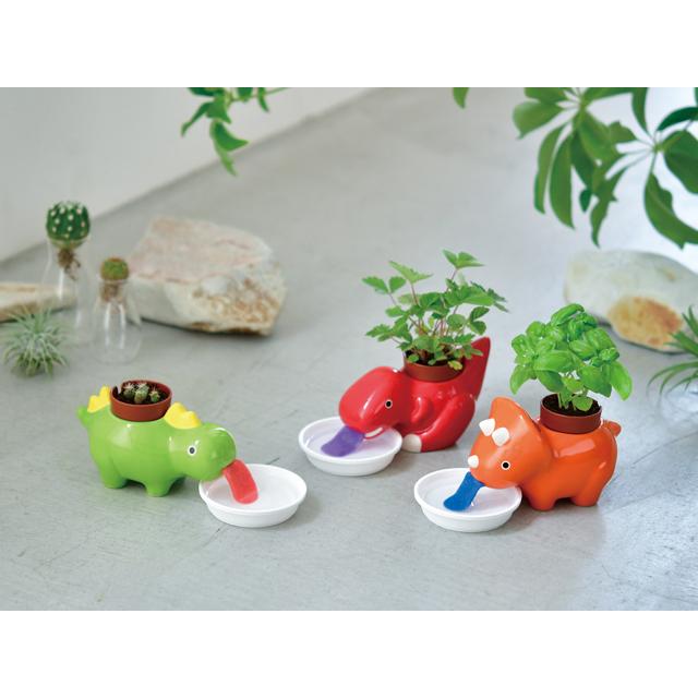 グリーンサウルス ステゴサウルス インテリア 栽培セット ハーブ 野菜 発芽保障 家庭菜園 栽培キット 聖新陶芸 秋|p-comfort|03