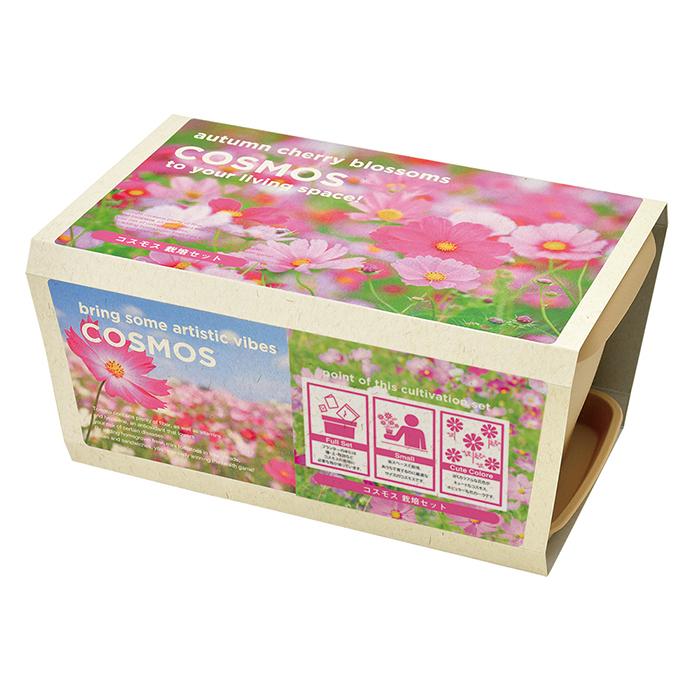エンジョイ プランター フラワー コスモス 秋桜 ミニサイズ 栽培セット 発芽保障 家庭菜園 栽培キット 聖新陶芸 秋 Gd 932 プラスコンフォート 通販 Yahoo ショッピング