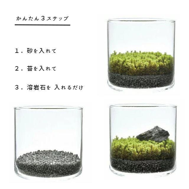 庭テラリウム Sサイズ 手作りキット 苔 苔リウム 栽培キット ミニ盆栽 栽培キット 和風 植物 Diy ギフト プレゼント 父の日 夏向 Gd 933 プラスコンフォート 通販 Yahoo ショッピング