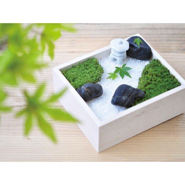 結婚祝い 苔盆 苔栽培セット 発芽保障 栽培キット 和風庭園 グリーン スナゴケ 家庭菜園 聖新陶芸 夏向22